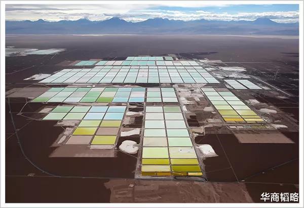 「石油」21世纪的白色石油，马斯克欲独吞其全球产能