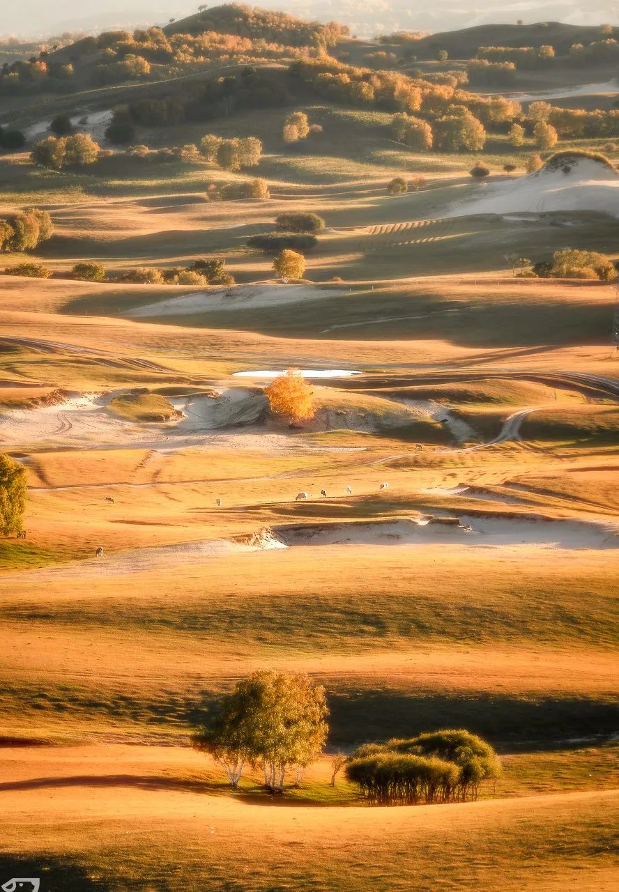 旅行|15个情侣最爱打卡的旅行地，去过5个忍不住想结婚！