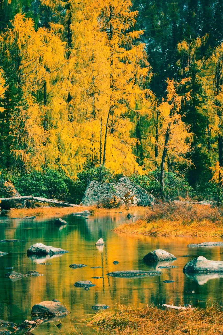 梯田|中国最美50个秋景,美得令全世界为之倾倒!去过20个就算达人