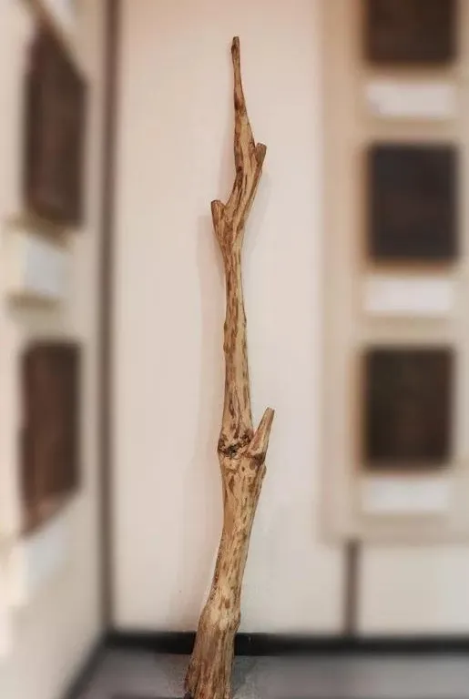 小叶紫檀|到底是海黄贵?还是小叶紫檀更贵?