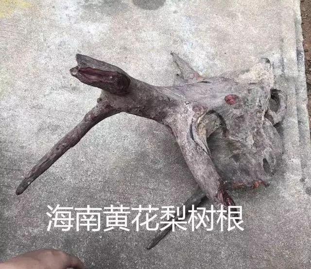 #红木#红木只会越来越值钱