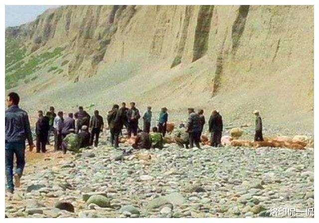 |中国30万老鼠集体“跳崖”，引起全球的关注，外媒：如今该重视了