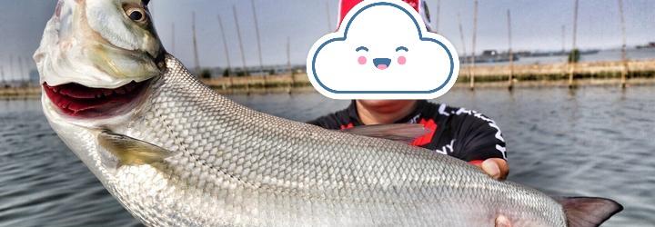 「」迫不及待去钓鱼，灰头土脸回到家！为啥你还这么喜欢？