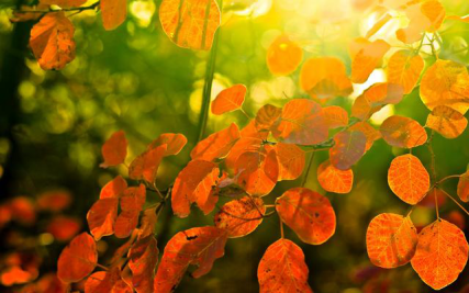 【天蝎座】7月,花开花伴,柳莺花燕,4星座旧缘未了,终将相拥复合