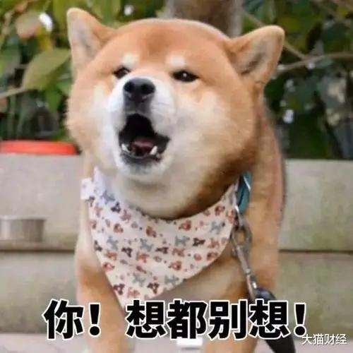 大猫财经|看到深圳人的医保，我酸了