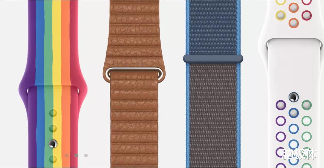 寒武纪|价格离谱的配件，与苹果摇摇欲坠的奢侈品人设