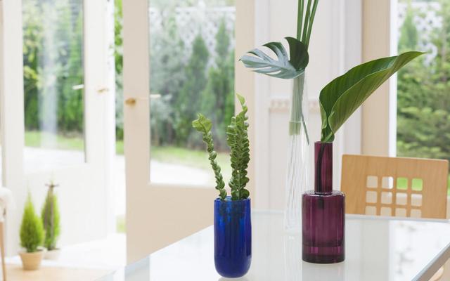 运势|八月份是个好运月,这3个星座,善其身、遇贵人暖色浮余生