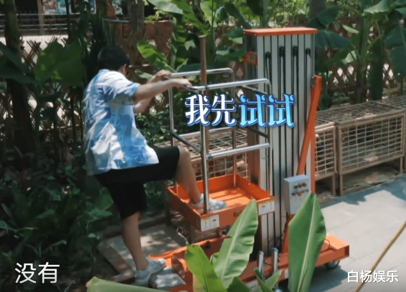 「黄磊」黄磊发现摘椰子神器，节目组都慌了！得知工具实际用途：用心良苦