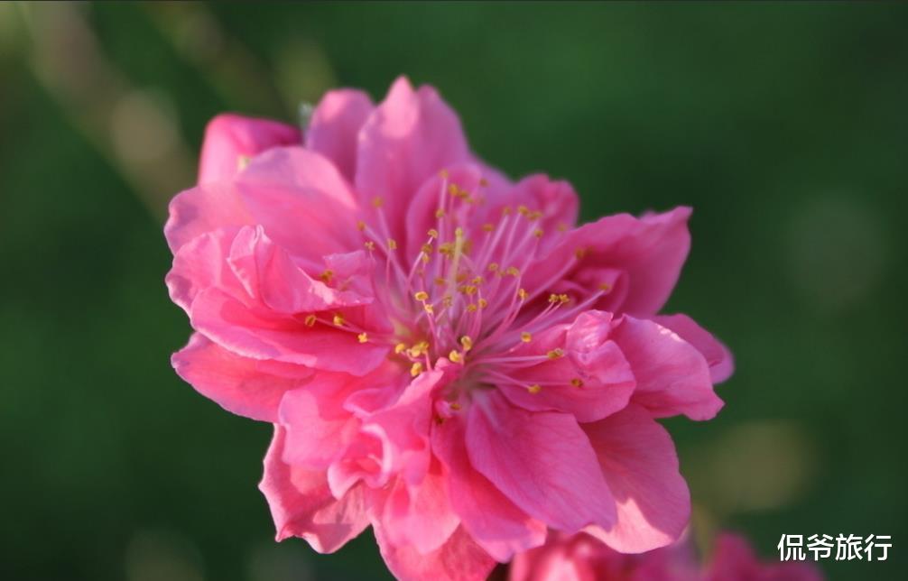 运势■6月19号运势大红大紫，正财上升，横财不断的生肖