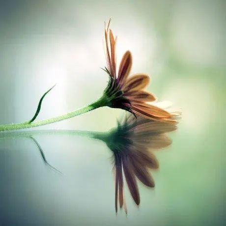 生肖|未来一周内，钱财大发，财运大爆发，大把大把的钞票入账3生肖，拦都拦不住