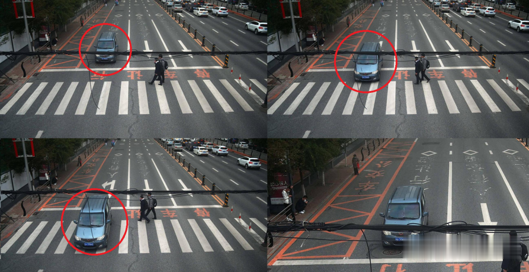 掌上长春|最新！长春这些人被曝光！