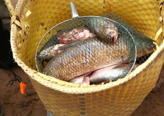 |我国最美味的4种鱼，听说过的就很了不起，吃过两种以上都是土豪