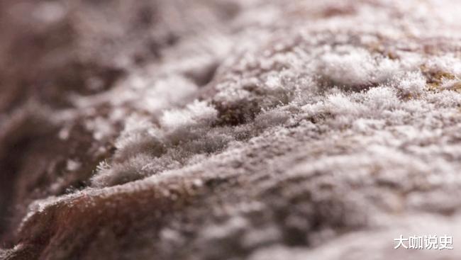 显微镜|专家用显微镜看到兵马俑上的白色“花朵”，为何立马叫停挖掘工作