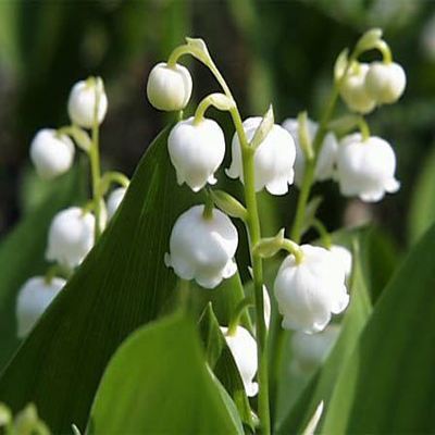 旧爱|7月底贵人相助,好运连连的3生肖,金钱收入越来越多,工作事业皆顺利