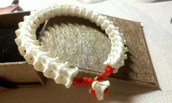 「」谈骨论今，揉骨为玉——蛇骨