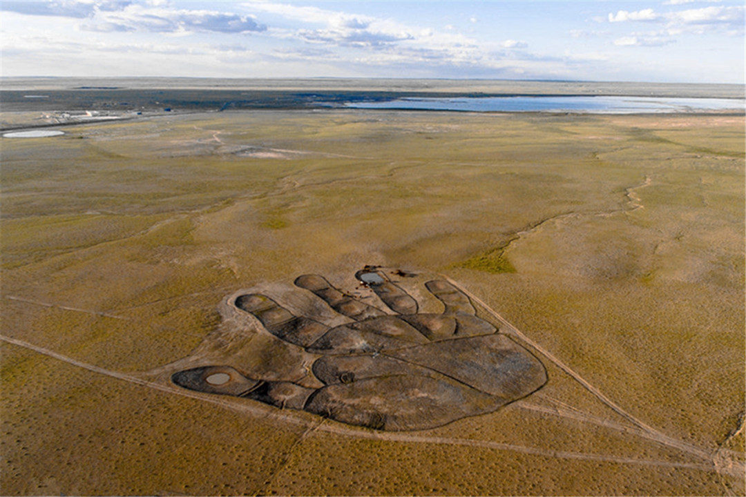麦田怪圈|内蒙古曾出现“如来神掌”，相当于6个足球场，难道是外星人留下的吗？