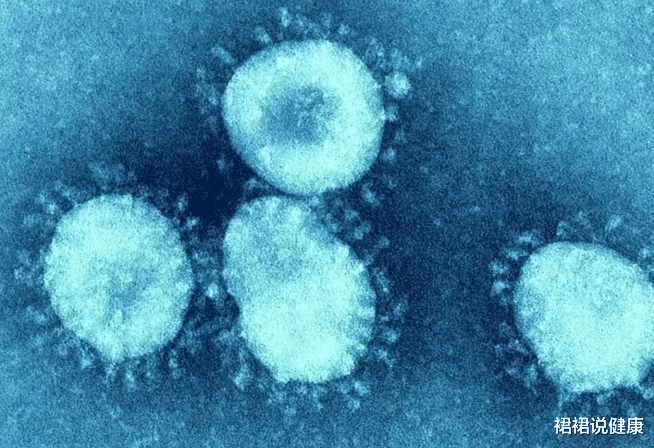 #肺炎#新冠肺炎“元凶”曝光，除了野生动物之外，还有3类食物不能碰！