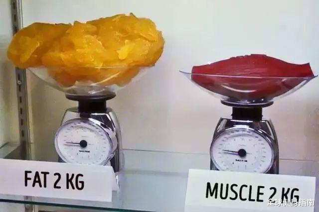 #健身#有问必答丨长期不锻炼,肌肉会不会变肥肉?