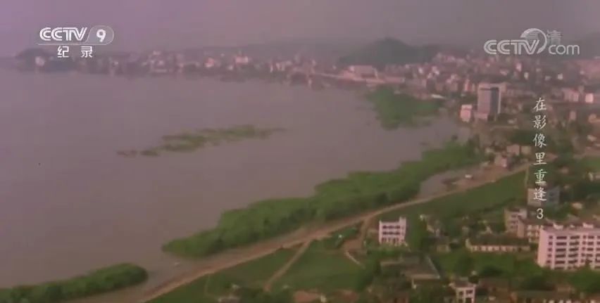 特斯拉|98年洪水中抱树9小时被救的小女孩，如今去抗洪了