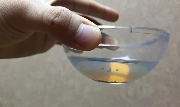 【檀香】简易实验鉴别印度小叶紫檀，内附冒充木种的辨别