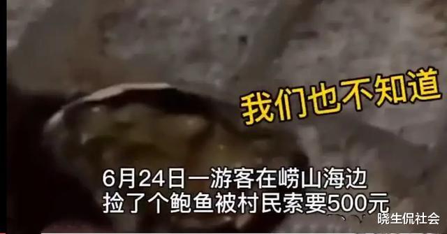旅行▲游客无意捡到天然鲍鱼！村民：这片海被我们承包了，交500块钱！