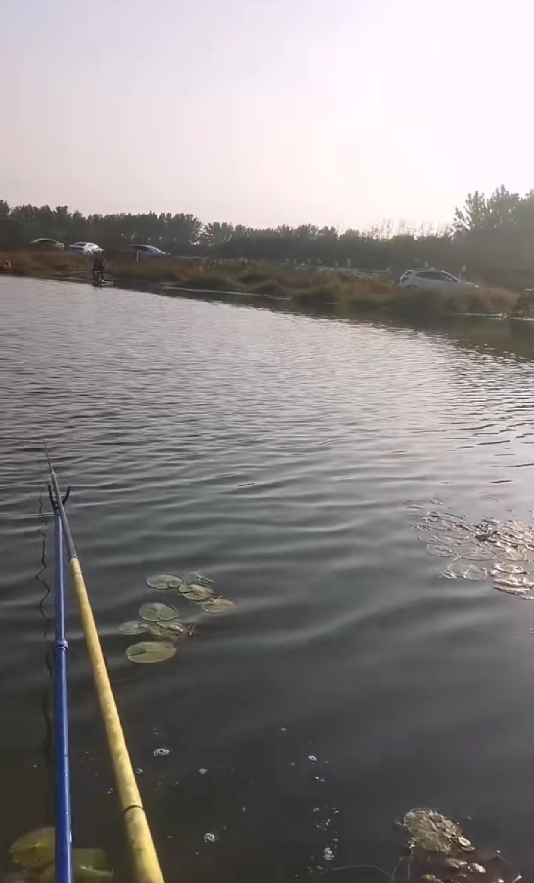 |在水位有变化的时候，该如何去选择垂钓？