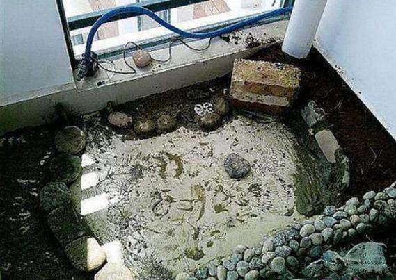 【】我和老公把阳台做了鱼池，晒到业主群，楼下马上找上门来了！