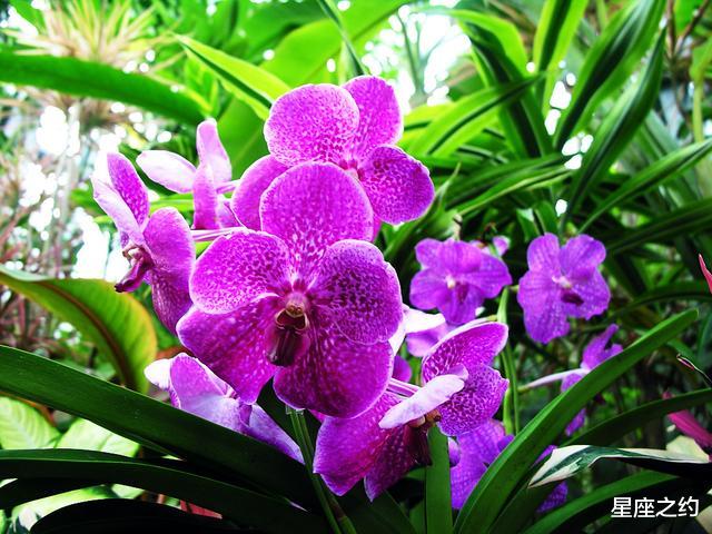 ##从6月份开始,蓄势待发,勇往直前,前途无量的三大星座