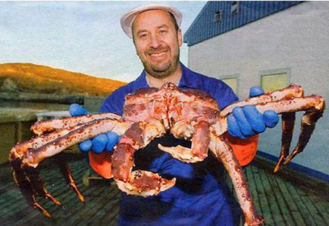 死亡率|世界上最危险的职业，死亡率是普通工人的50倍，5天就可赚70万