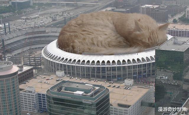 |动物们变大几百倍后的世界,巨物恐惧症患者:要窒息了