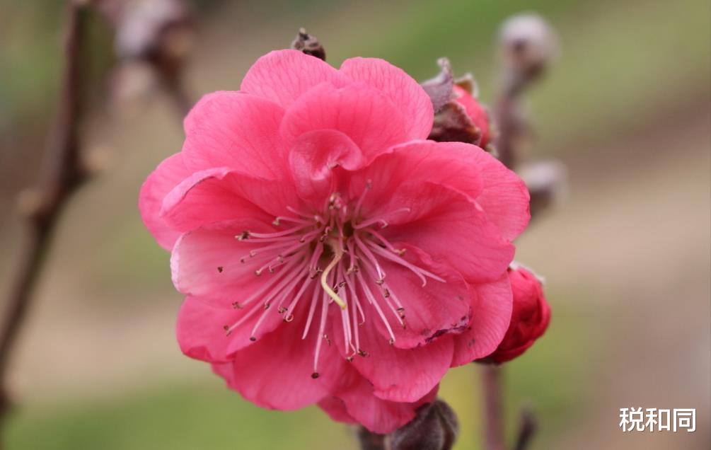 「生肖」6月24号容易有横财的3生肖,家门兴旺,聚财又纳福,大吉大利