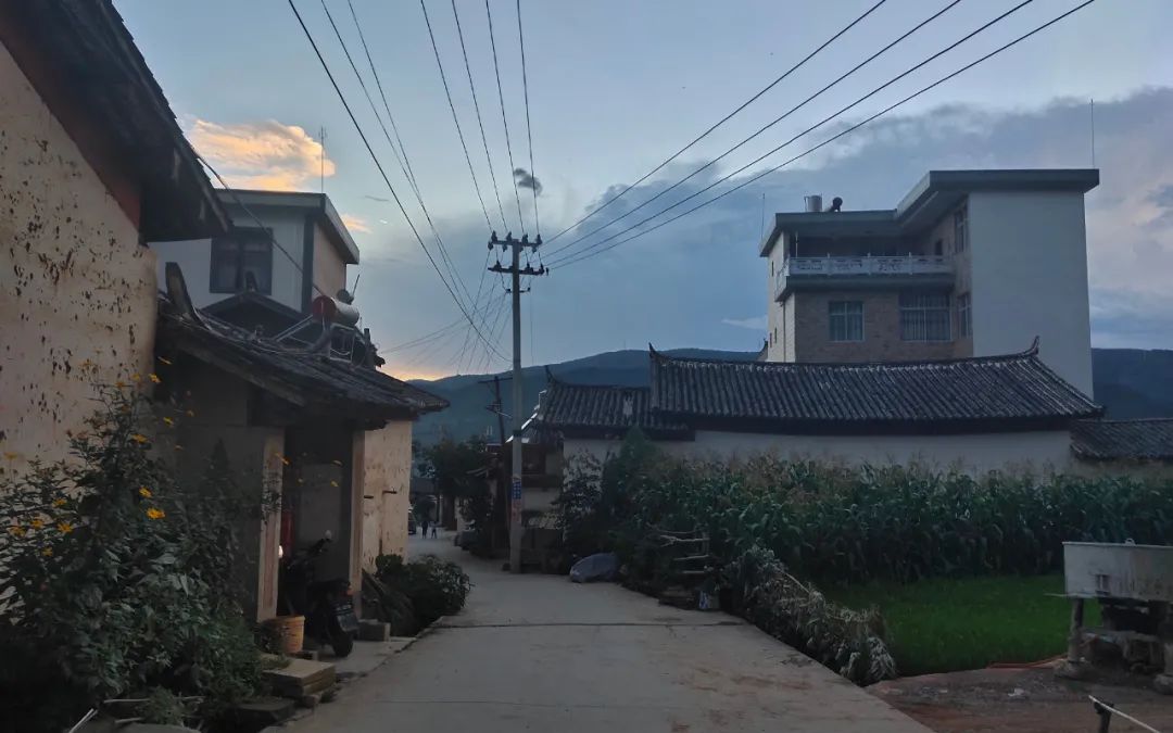 新京报|云南2岁男童被抱走后的45小时：孩子被疑犯标价十万元准备卖掉