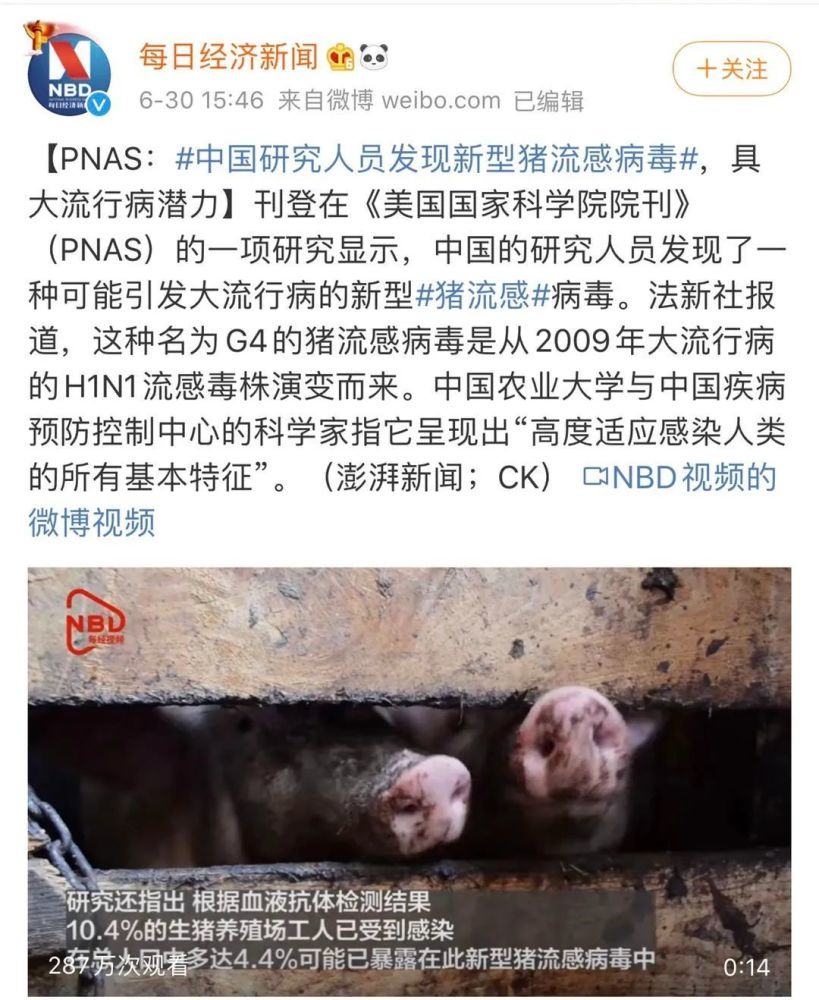 专家解疑解惑：人为何会患上猪流感？