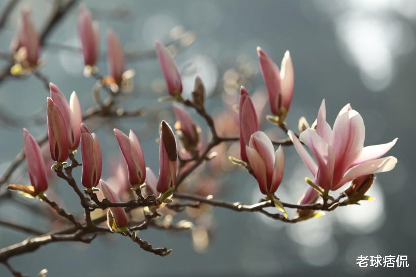 「运势」6月17号，赚钱有门路，财富得到积累的3生肖，渡过难关