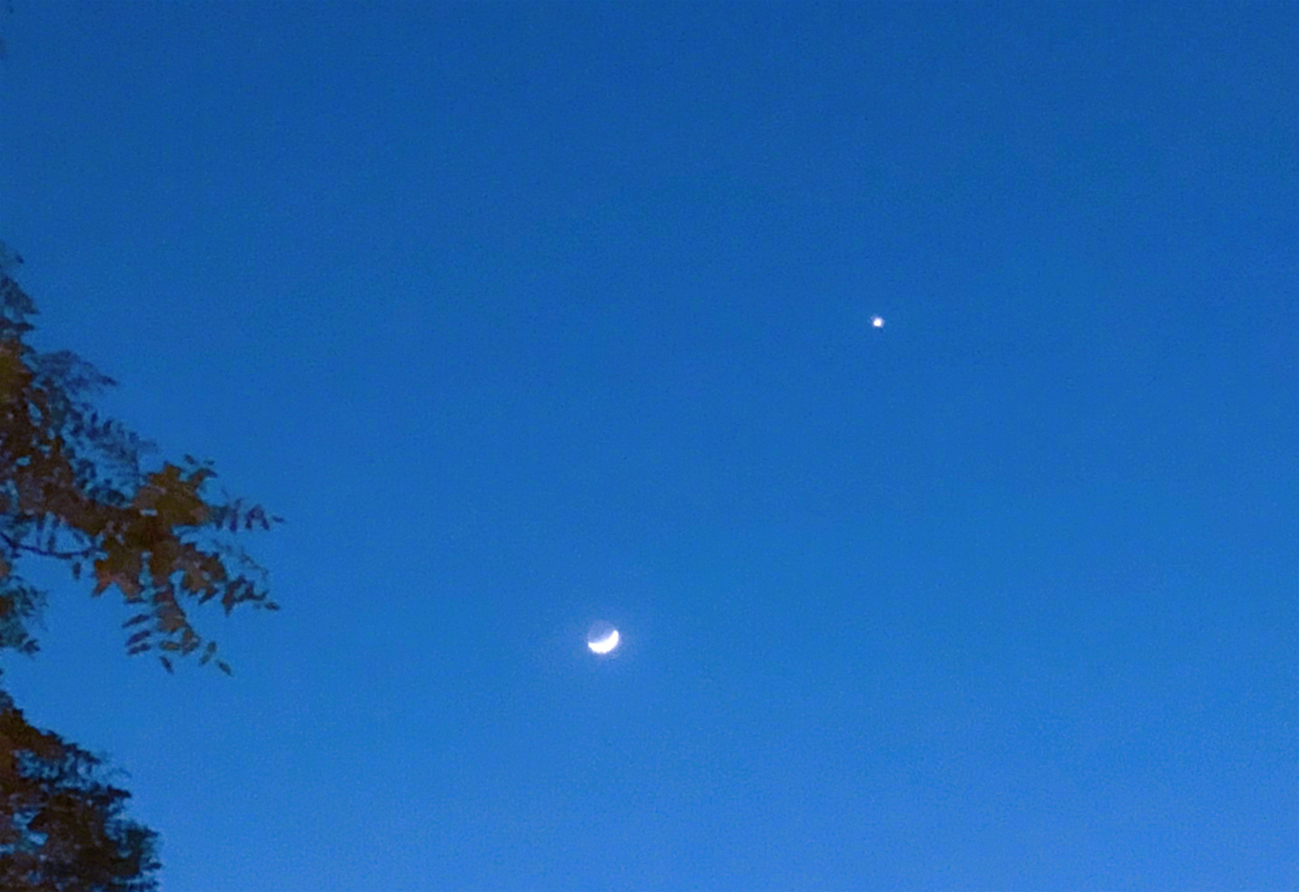 「」金星伴月的天象，你看到了吗~