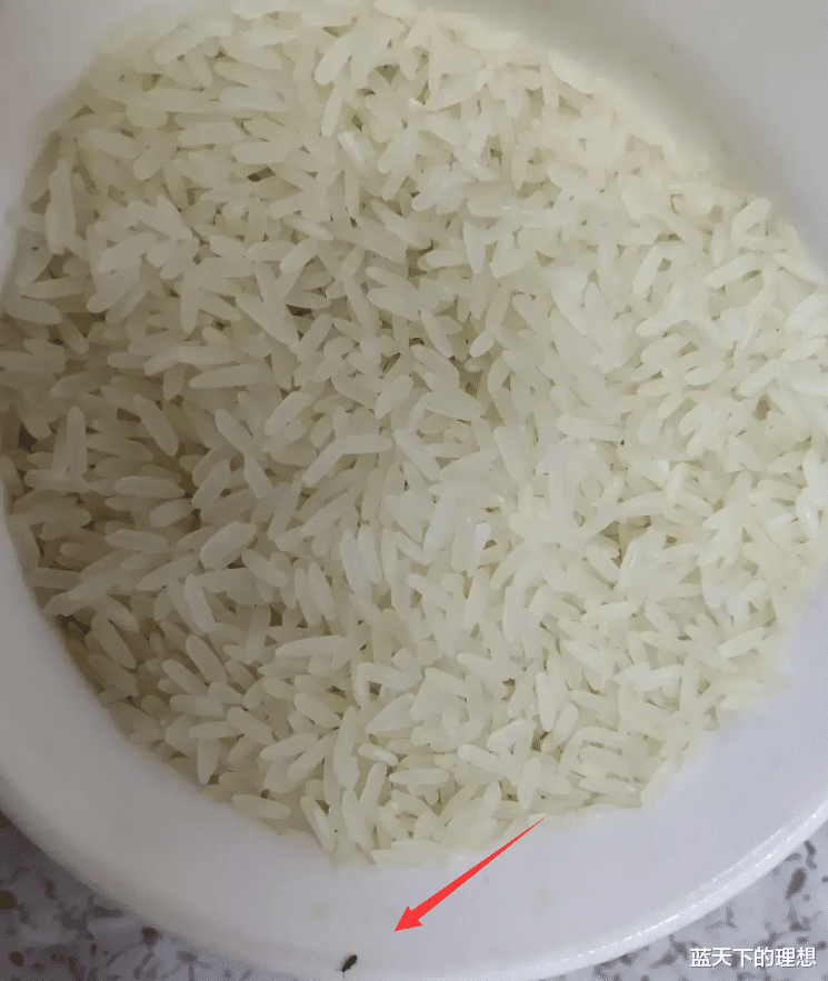 墨斗|“这是什么样的操作呢？还需要用绳子兜住吗？”这情况第一次见哈！