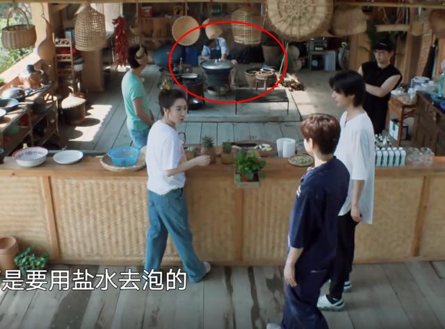 黄磊|一张图揭露为何《向往的生活》不再向往，画面窒息，同情黄磊