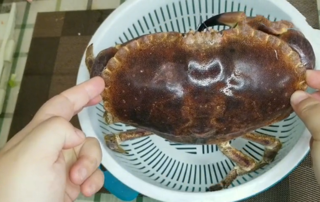 【面包蟹】花89元买一只“面包蟹”，巨肥，想大吃一顿，掰开后：拼夕夕没错了