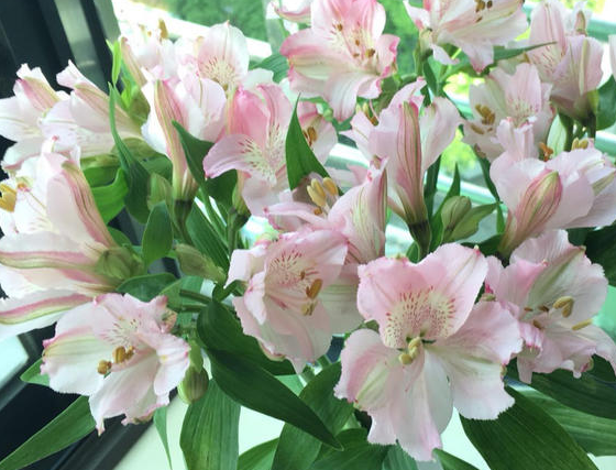 『运势』未来一个月,好运来袭,4属相运势突飞猛进,名利双收