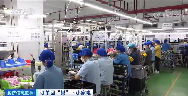 长春晚报|大涨600%！突然间，这种东西爆火