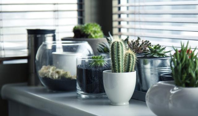 |属相蛇：9月初将有“囍事”发生，好运不断，钞票多多，万事顺利