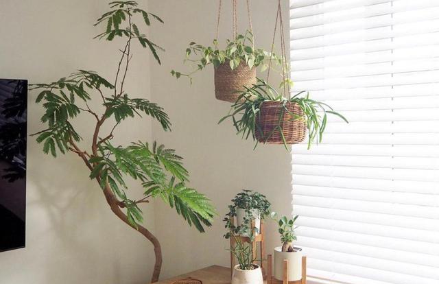 |日本极简小二层，全屋干净到令人羡慕的地步，住多久都不会腻！