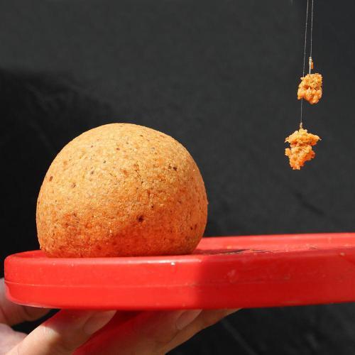 |自然水域钓鱼，6大技巧助你提高野钓上钩率