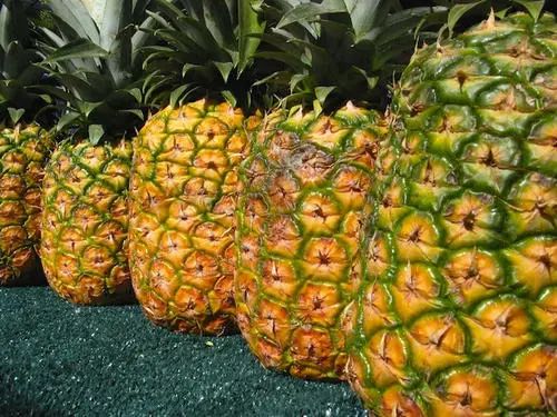 水果▲各国吃货炫富，日本黑西瓜，英国菠萝，果然中国默默拿出了这水果