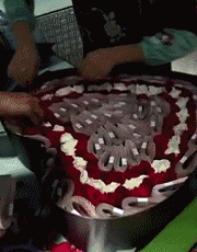 拔罐|“现在的女生穿着罩衣就出门了,这后背不拔罐真的可惜了!”哈哈哈哈~