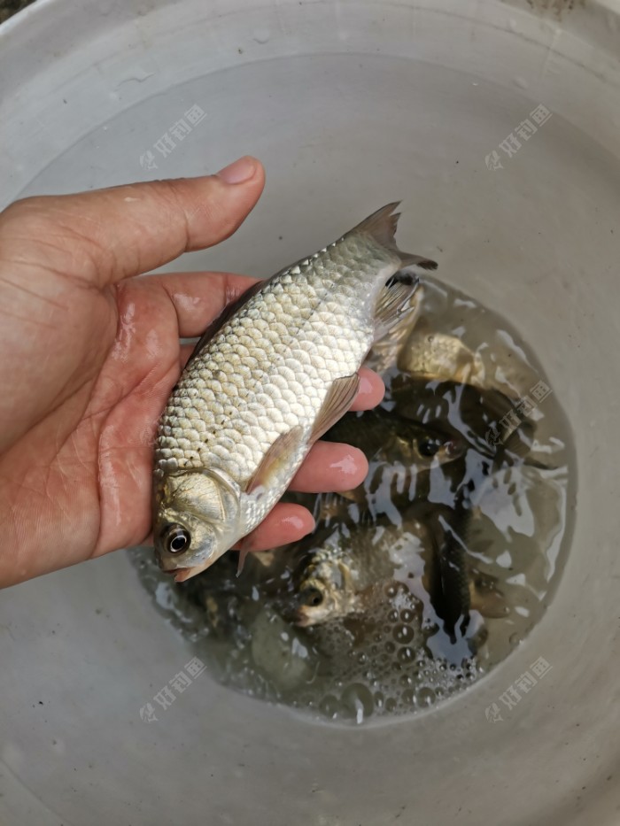 |又多一解毒好去处——门口湾子