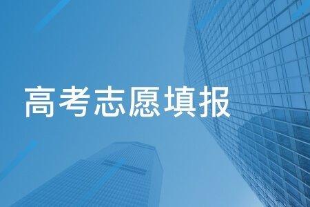 |选择大学专业，不是这一个暑假的事情，而是一辈子的事情