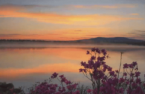 阿尔山▲中国北方\藏着\一个“瑞士”，去一次相当于环游一次欧洲！