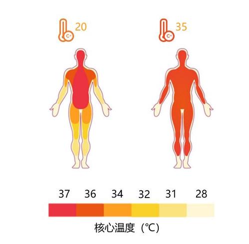 免疫系统|人类的体温正在下降，37℃已经成为过去式，这到底意味着什么？