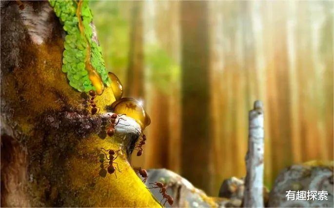 化石|最不幸古生物：雌雄繁殖一半成琥珀，姿势不得不保持4100万年